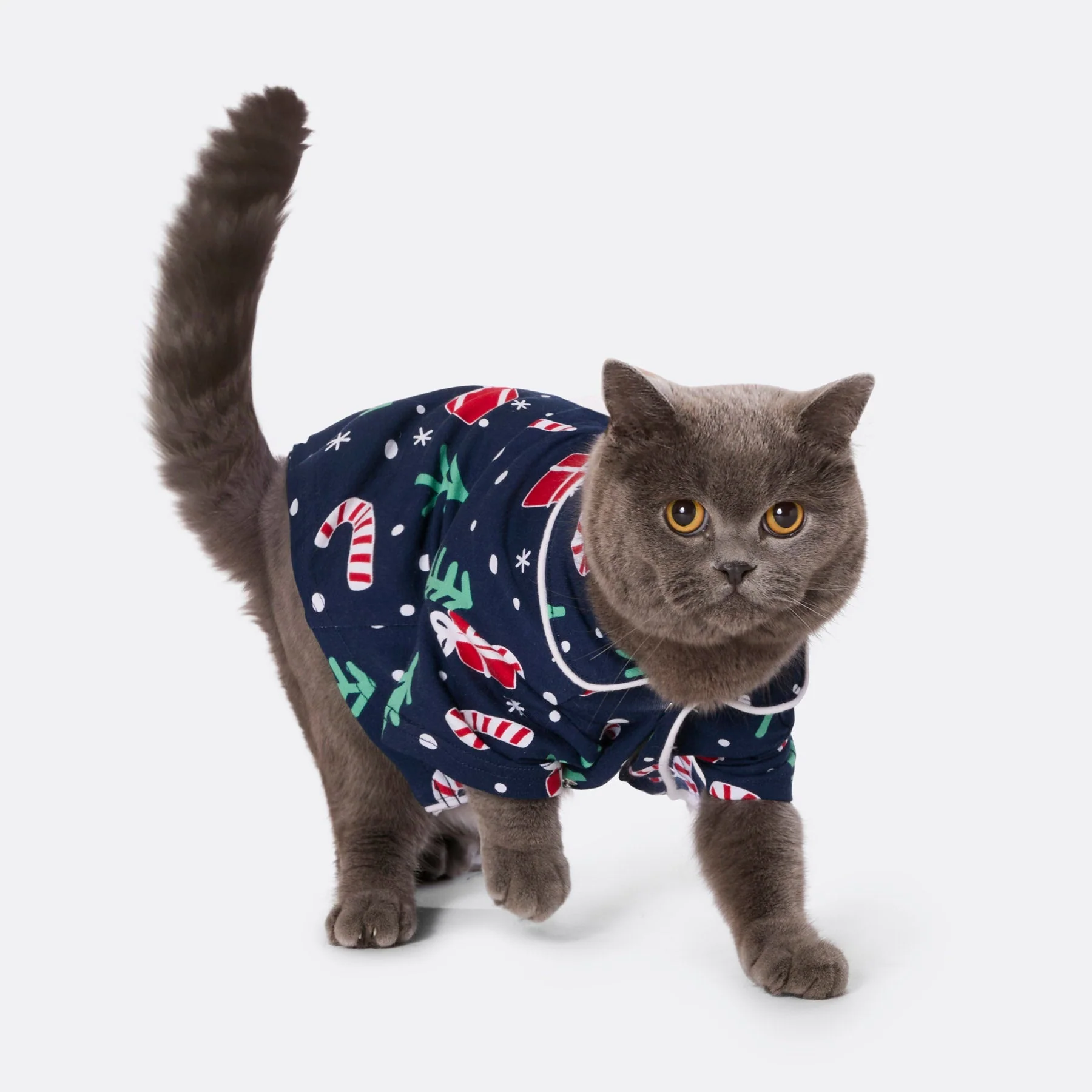 Blue Christmas Pattern Christmas Pyjamas Family - Image 9