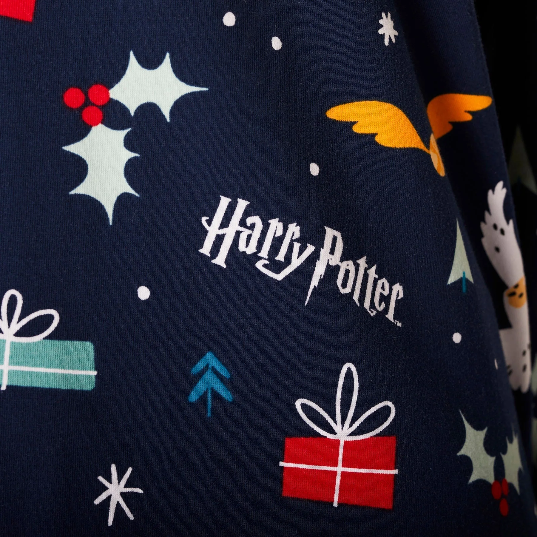 Blue Harry Potter Pyjamas Family - Image 6