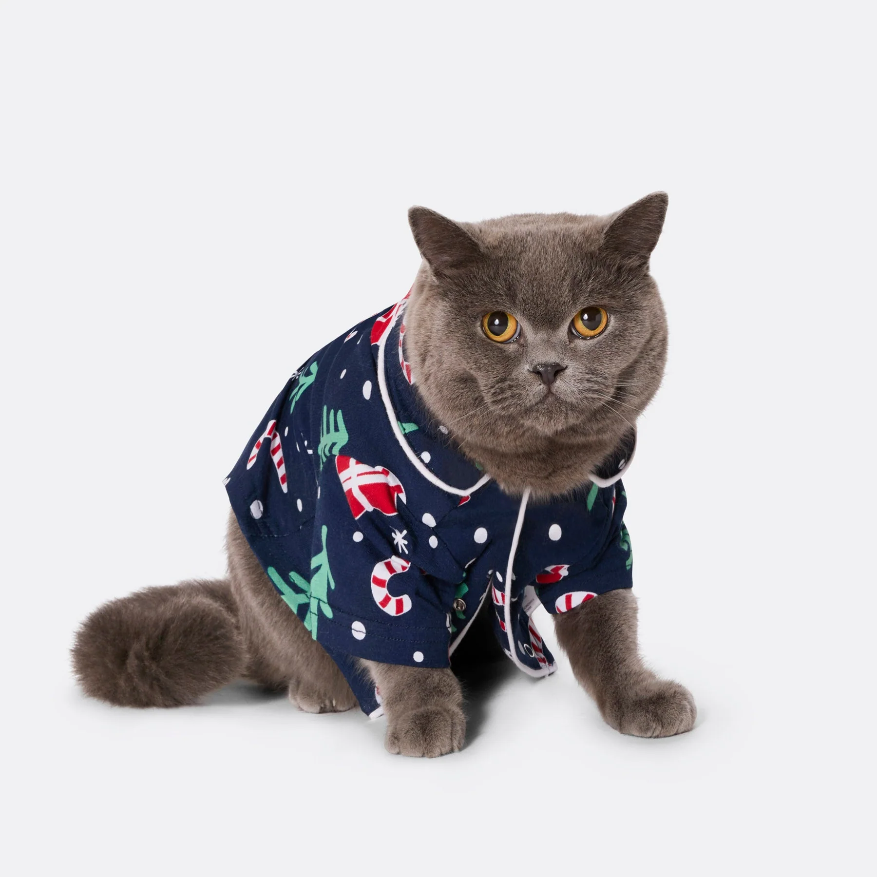 Cats' Blue Christmas Pattern Christmas Pyjamas - Image 2