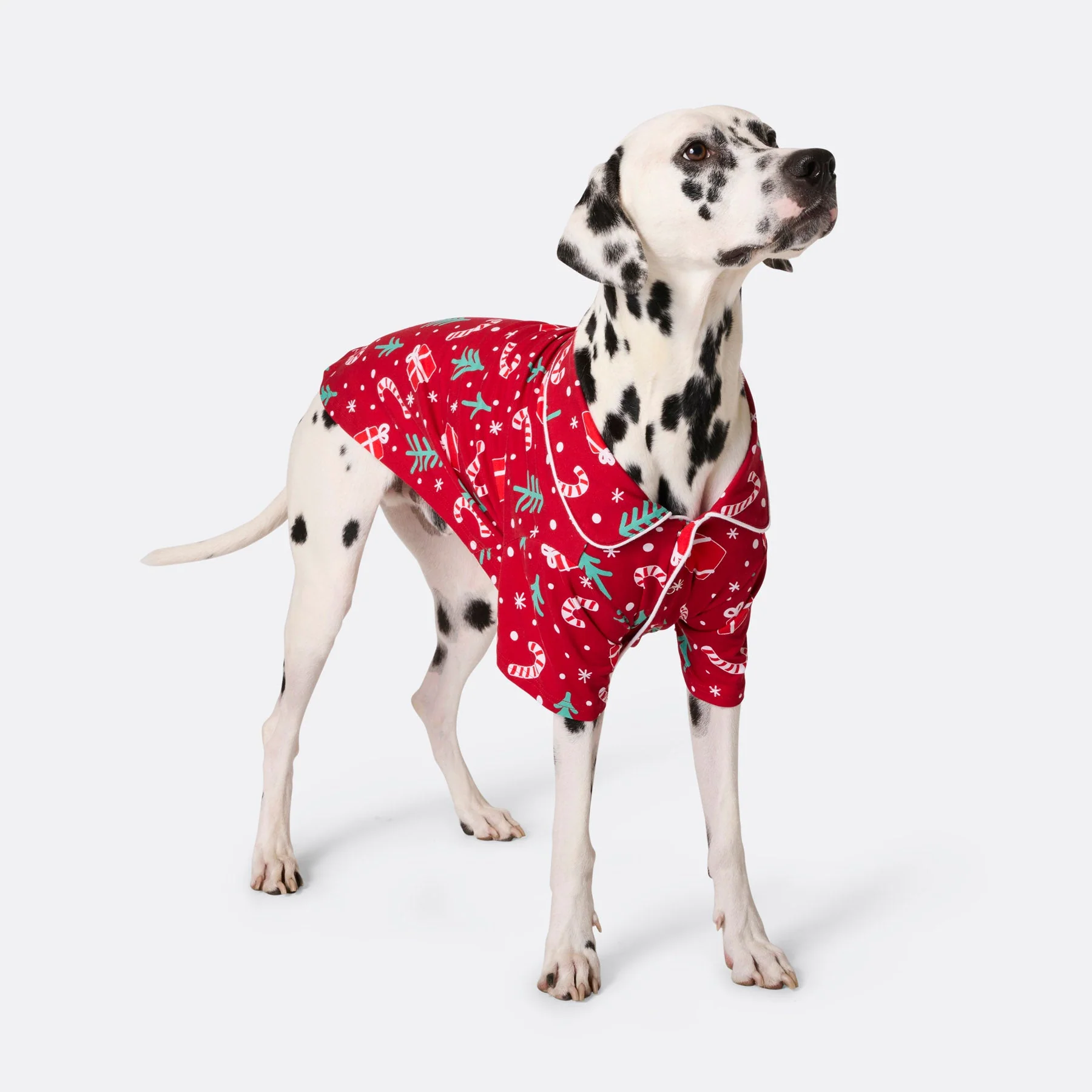 Dogs' Red Christmas Pattern Christmas Pyjamas - Image 3