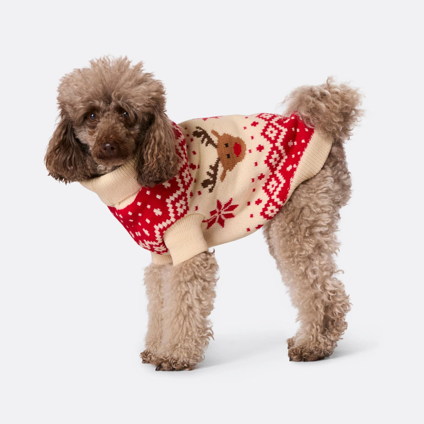 Dogs' Red Retro Reindeer Christmas Sweater - Image 4