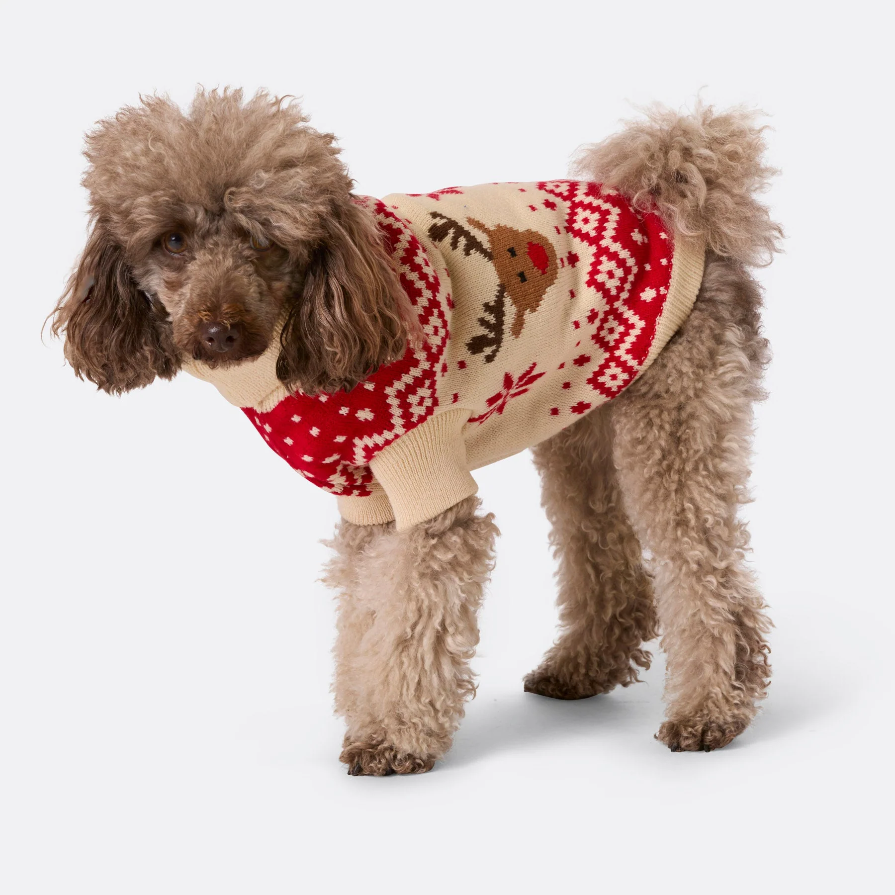 Dogs' Red Retro Reindeer Christmas Sweater - Image 5