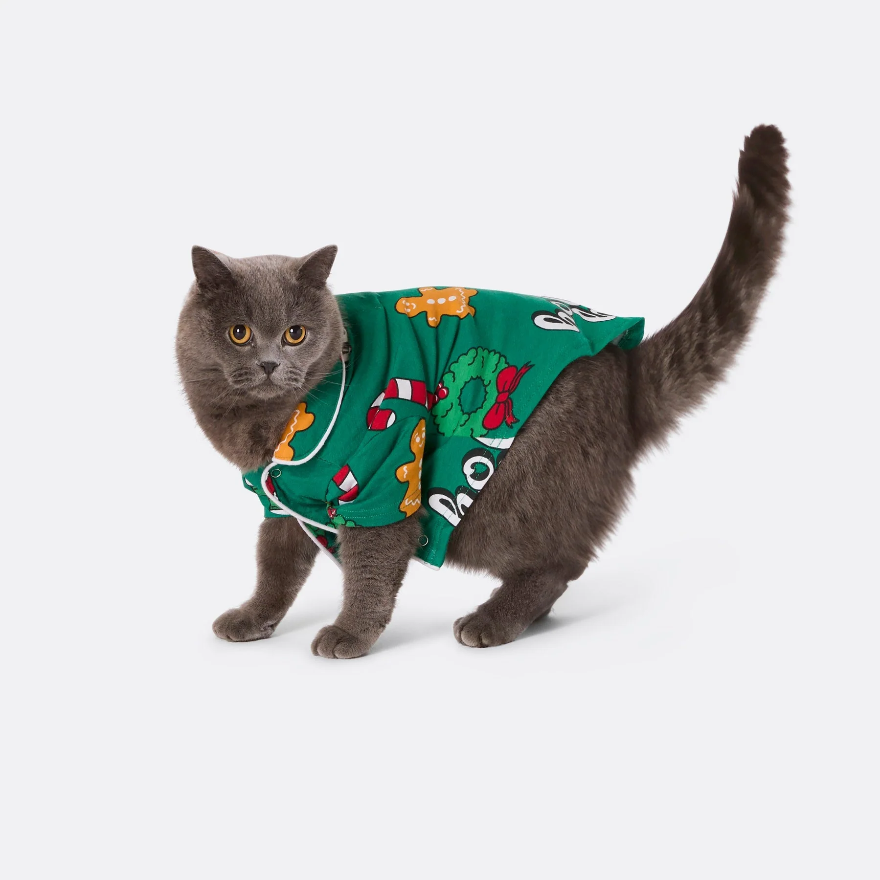 Green Hohoho Christmas Pyjamas Family - Image 8