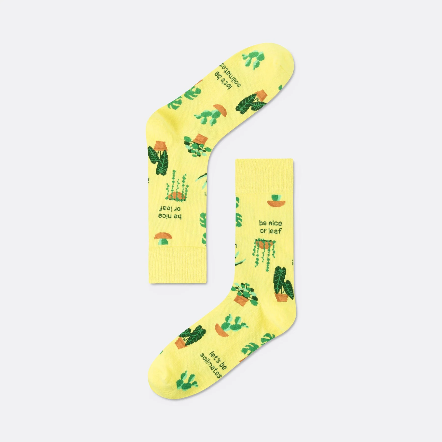 Plant Socks - Image 2